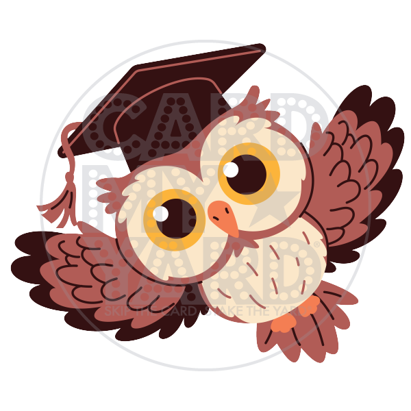 Graduation: Flying Grad Owl