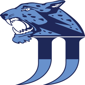 School Graphic: Johnson HS Jaguars