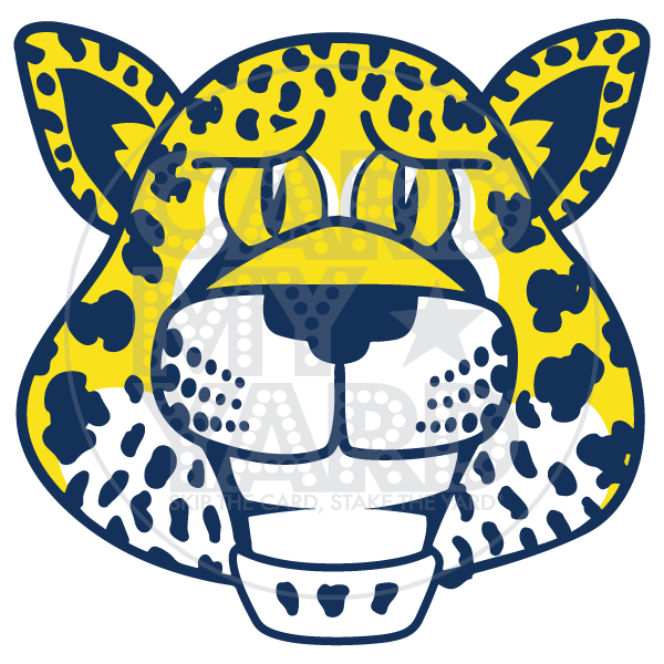 School Graphic: Leadmine Leopard Head