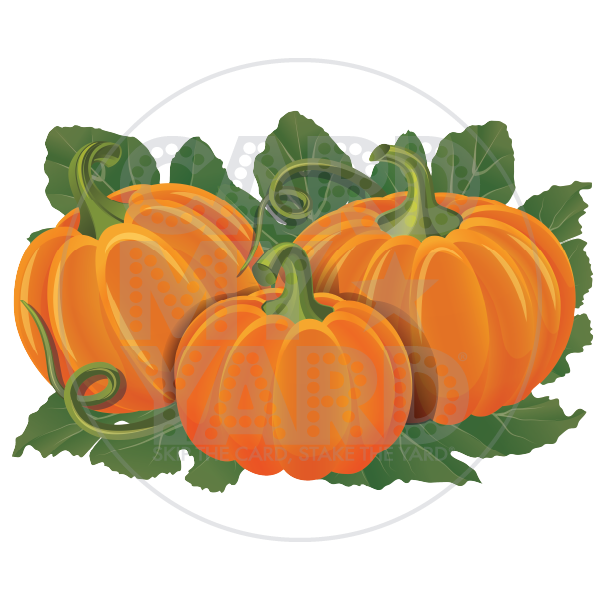 SUPER HOLIDAY: THREE PUMPKINS ON VINE