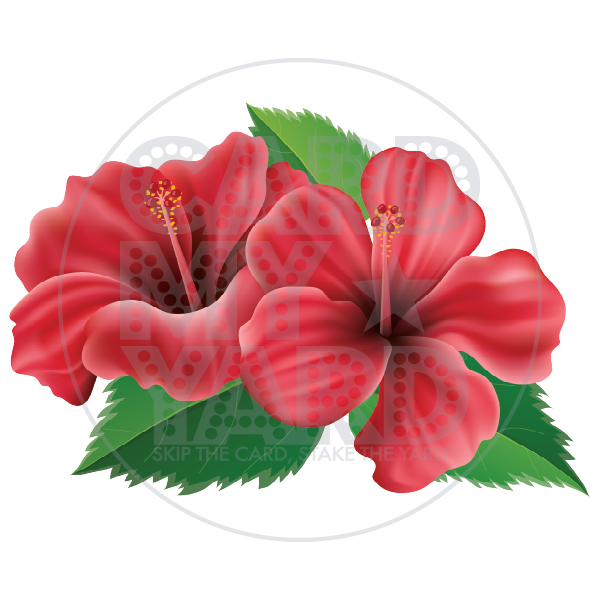 SUPER HIBISCUS