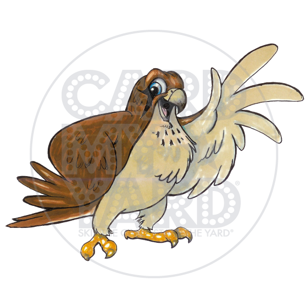 School Graphic: Falcon -  Hand Drawn