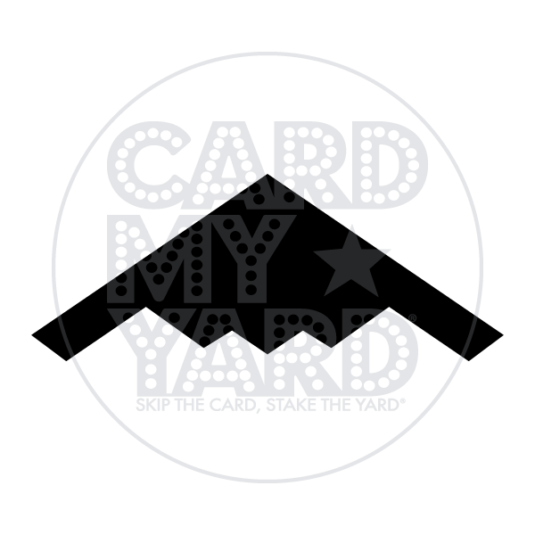 Transportation: B2 Bomber