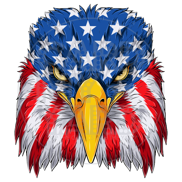 America: Stars Stripes Eagle Head America: Stars Stripes Eagle Head