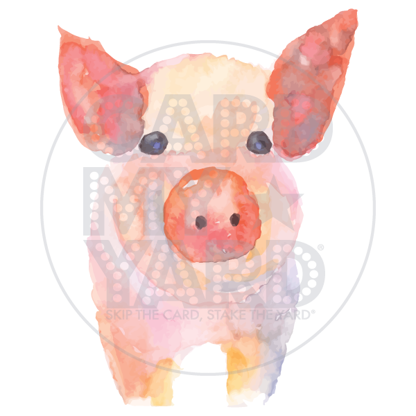 Animal: Watercolor Pig Animal: Watercolor Pig