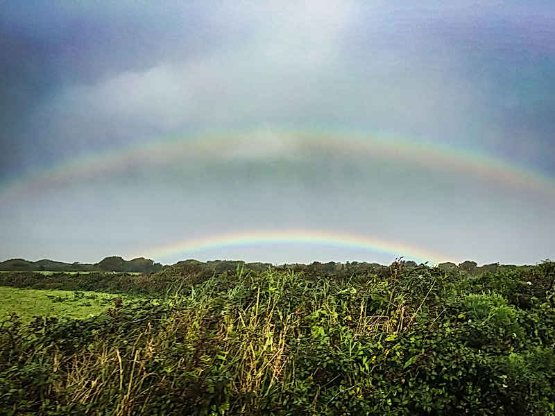 Das Ende Des Regenbogens Die Irische Sage Um Die Leprechauns