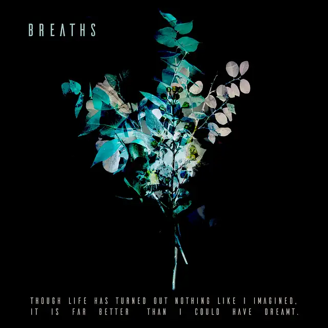 Breaths – "Through Life"