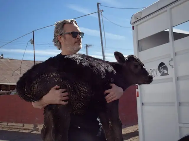 Joaquin Phoenix rettet Kuh mit Kalb aus Schlachthof