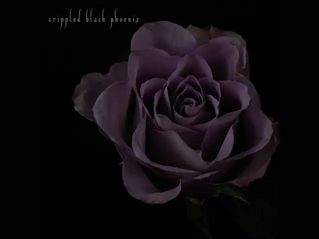 "Painful Reminder" von Crippled Black Phoenix