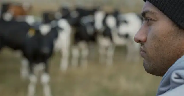 Chris Huriwai schaut traurig auf ein paar schwarz-weiß-gefleckte Rinder, die verschwommen im Hintergrund zu sehen sind. Er trägt einen grauen Hoodie und eine schwarze Strickmütze und hat einen Dreitagebart.