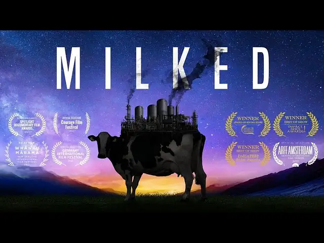 "Milked" ab sofort kostenlos streamen