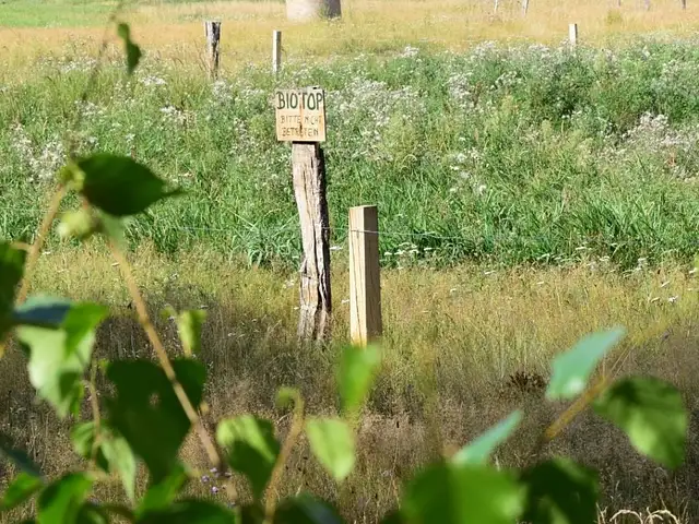 Auf einem Feld steht ein selbst geschriebenes Holzschild mit der Aufschrift "Biotop". Im Vordergrund sind zweige zu sehen. Das Feld ist grün.