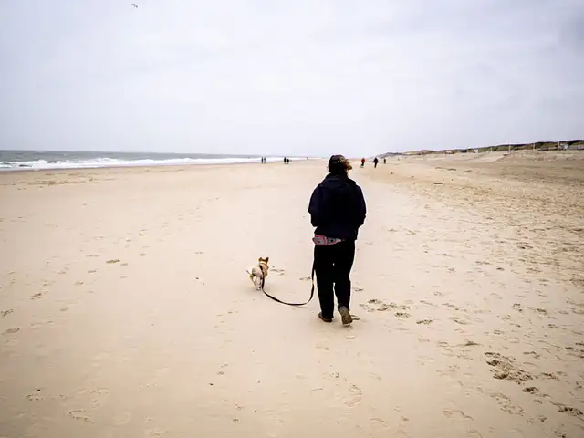 Urlaub mit Hund am Meer