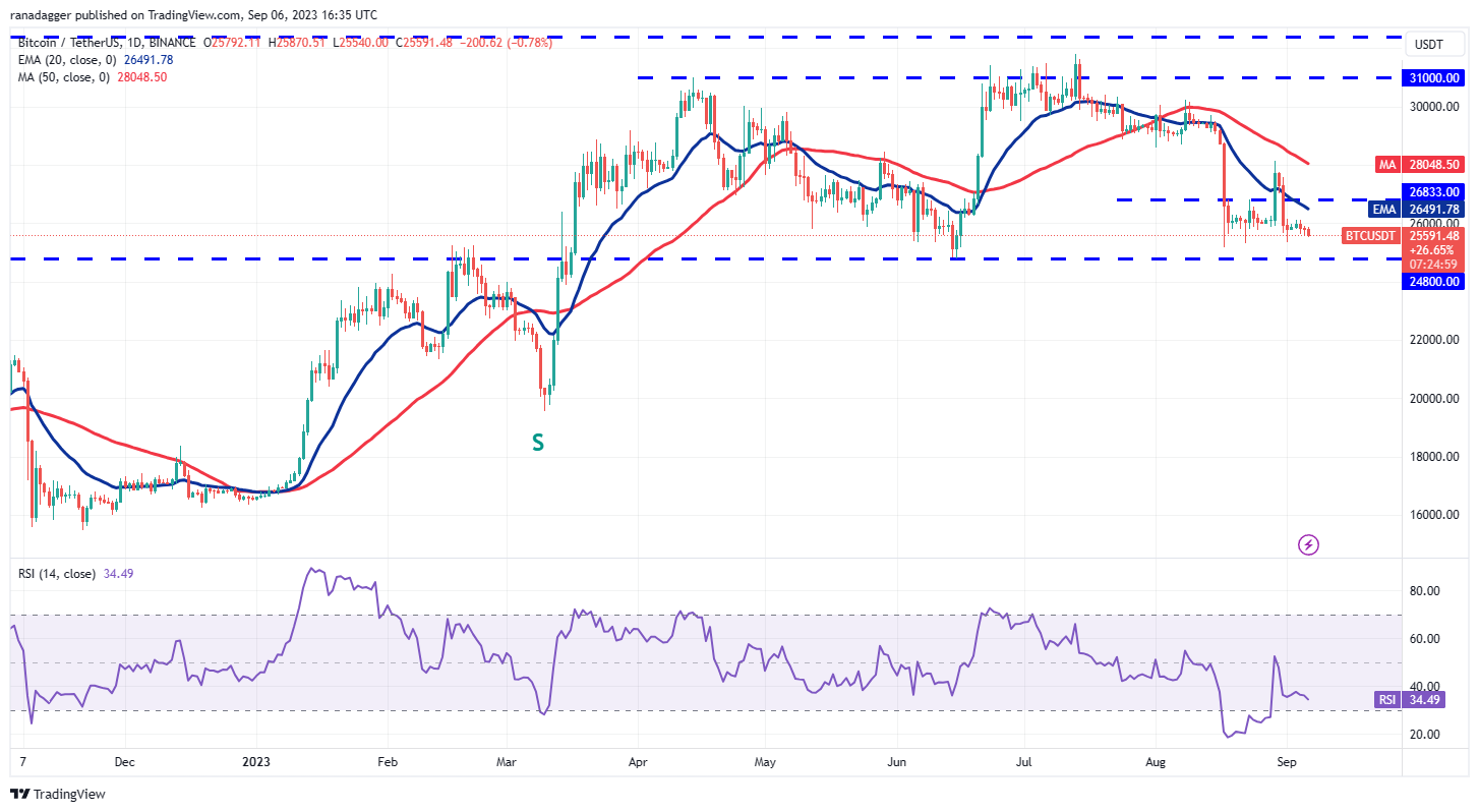 BTC, ETH, BNB, XRP, ADA, DOGE, SOL, TON, DOT, MATIC - La Crypto Monnaie