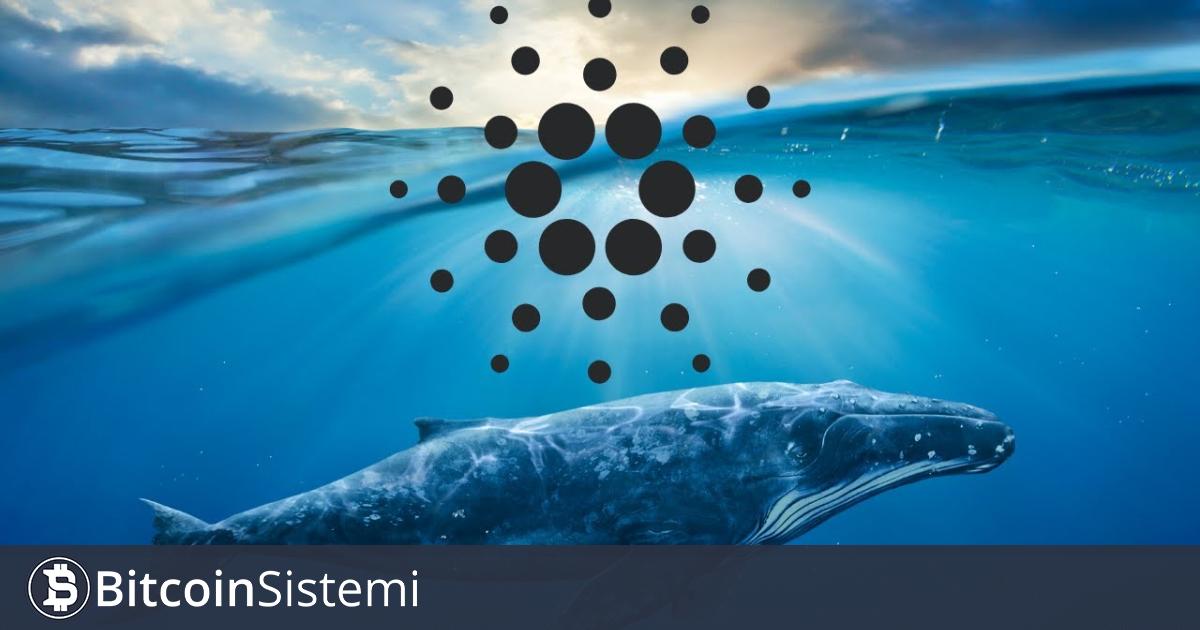 Santiment Verilerine Göre Bu Altcoindeki Balina Sayısı Rekor Düzeye Ulaştı!