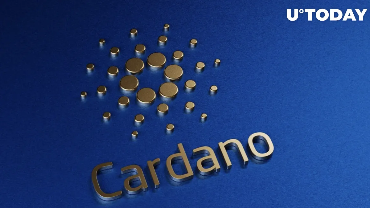 Cardano DeFi Boom Results in More Than 2 Million Transactions in Less Than a Month