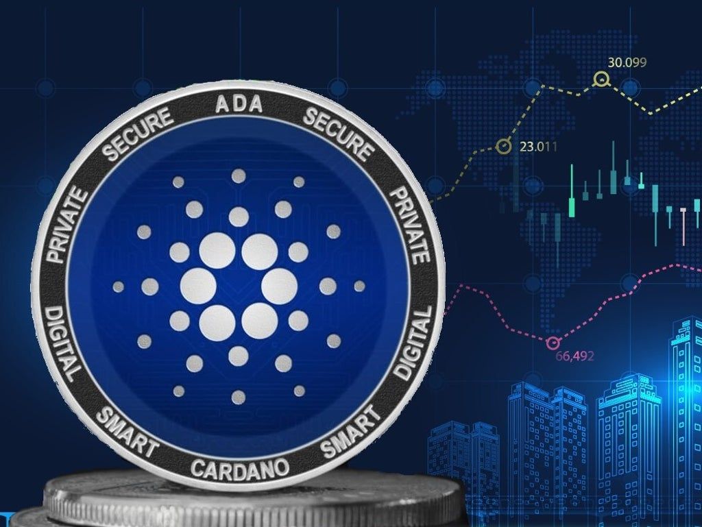 A Look into Cardano