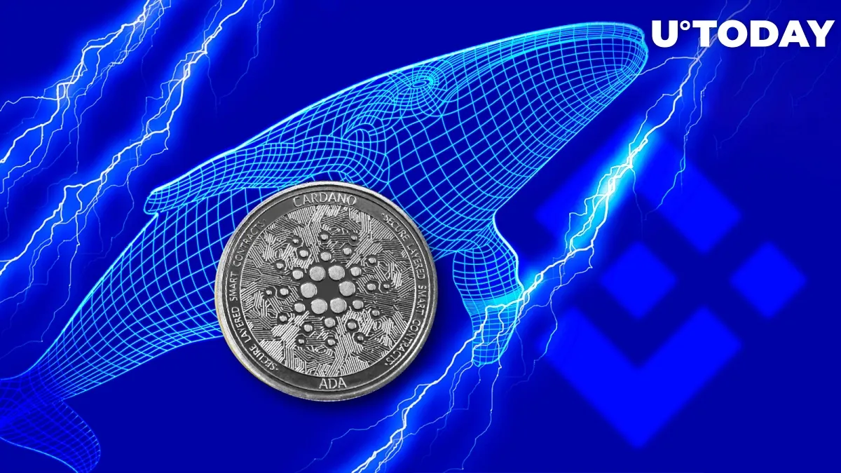 Cardano (ADA) Gets Into Largest BNB Chain Whales' Top Purchases
