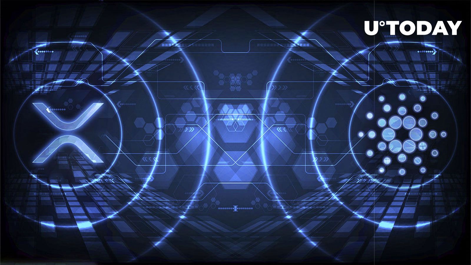 XRP and Cardano (ADA) Have Always Been Securities, Crypto Exec Says - BitcoinEthereumNews.com