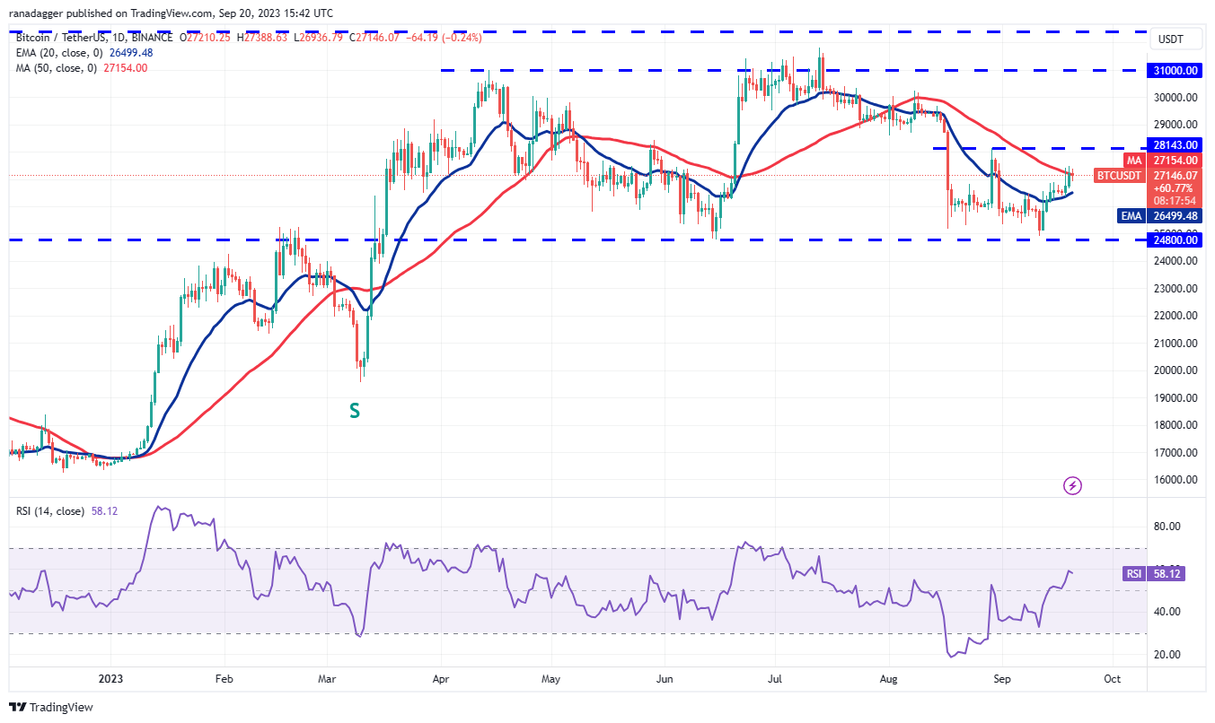 BTC, ETH, BNB, XRP, ADA, DOGE, SOL, TON, DOT, MATIC - La Crypto Monnaie