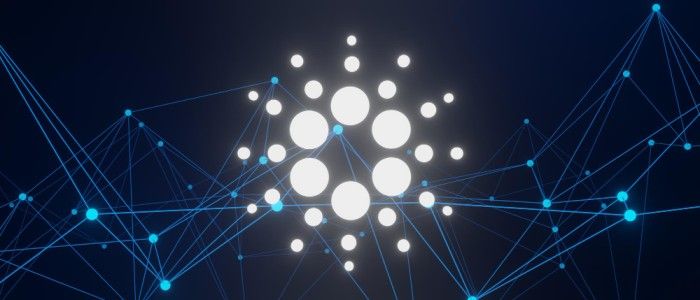 Qu’est-ce que DJED Crypto ? Voici un bref aperçu sur Cardano Stablecoin