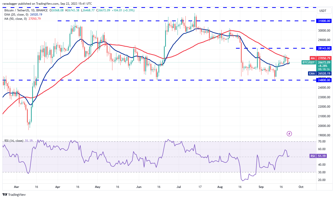 BTC, ETH, BNB, XRP, ADA, DOGE, SOL, TON, DOT, MATIC - La Crypto Monnaie