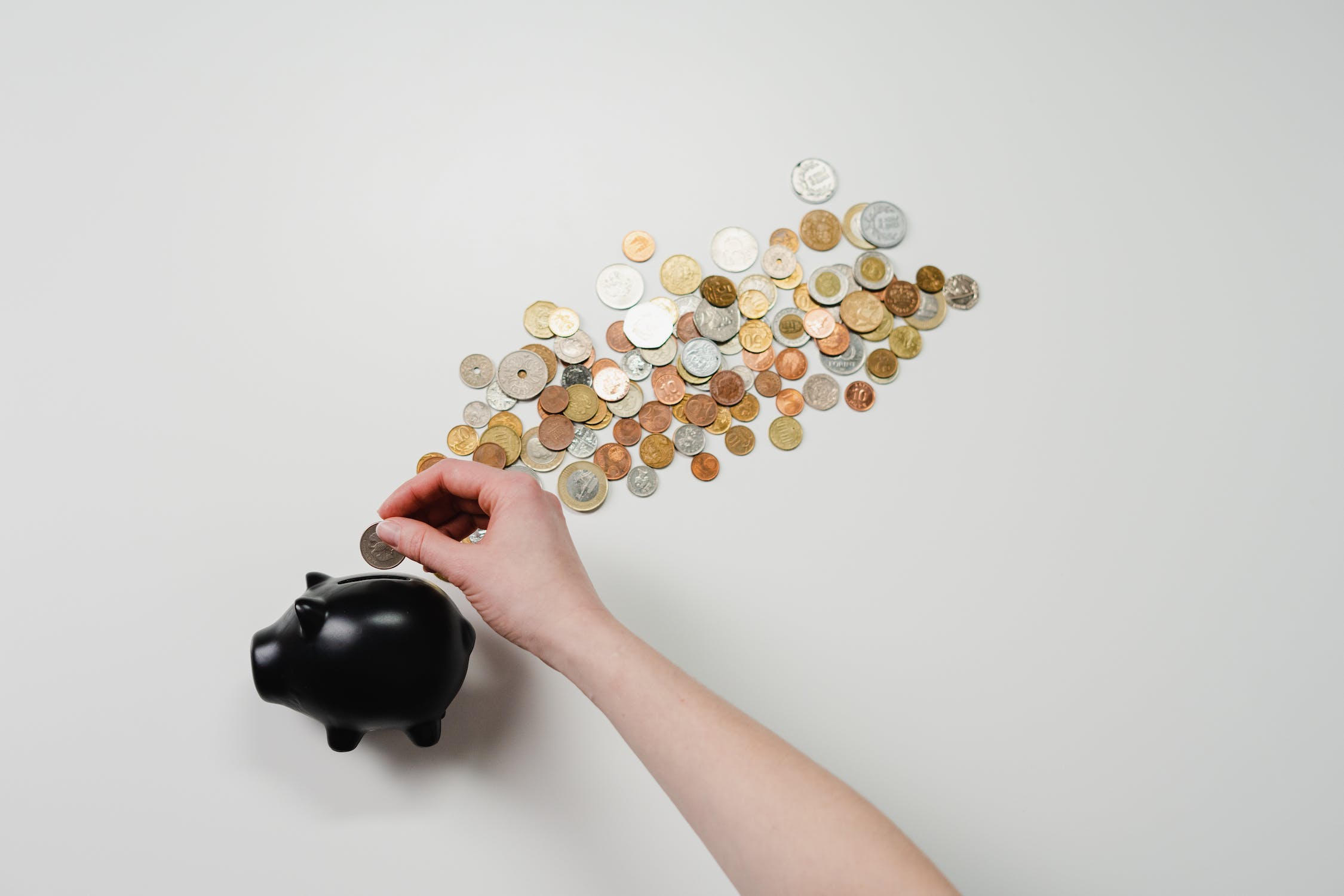 Analista aposta em Cardano e compra mais de US$20.000 em ADA - Bolha Crypto