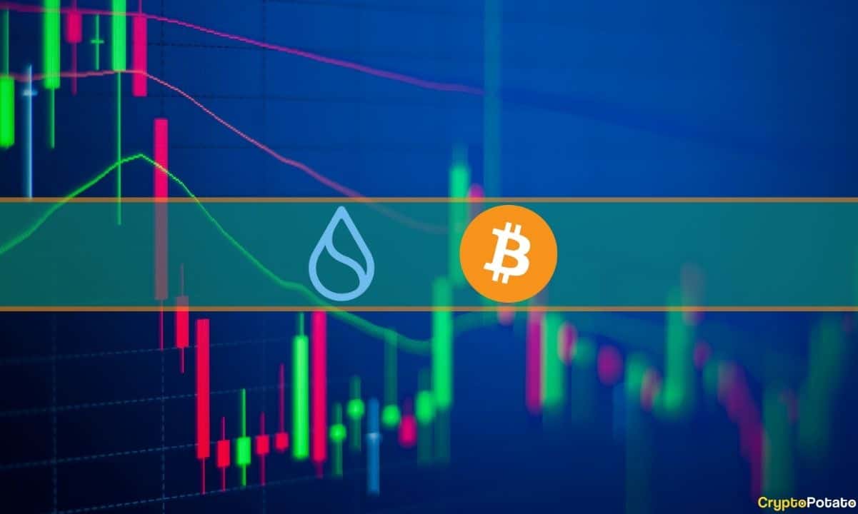 BONE et SUI montent en flèche de 20 % par semaine, BTC stagne à nouveau à 26 000 $ (montre du week-end) - La Crypto Monnaie