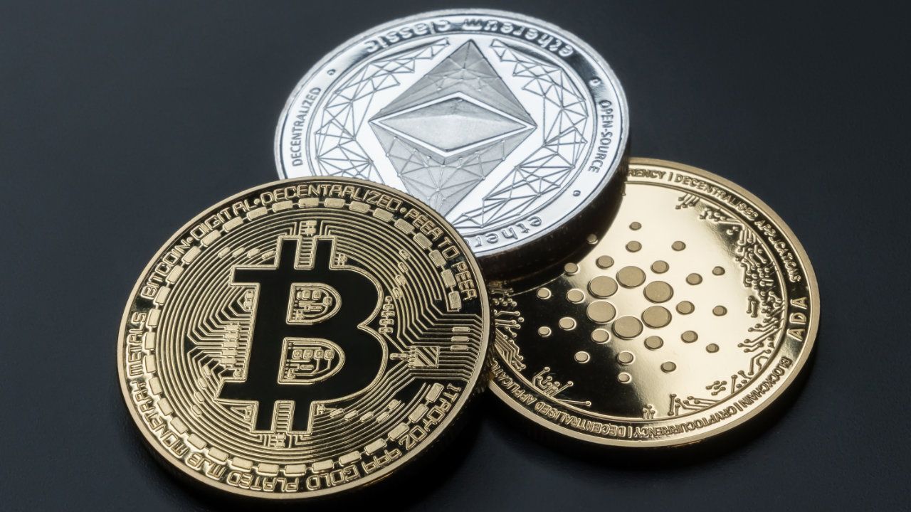 Not Bitcoin, Ethereum or Cardano, but these crypto assets hold the potential for a bull run - ELEVENEWS