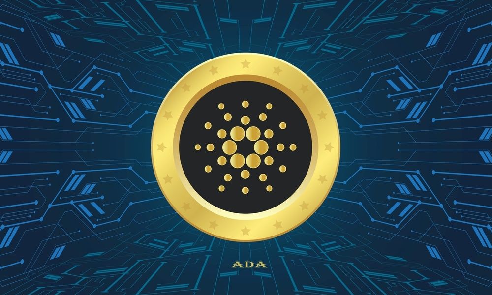 Cardano ขึ้นเป็นผู้นำในด้านการพัฒนาคริปโต สิ่งนี้บอกอะไร