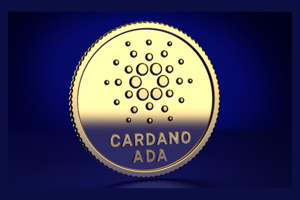 Details on First Cardano Smart Contract in Python - Times Tabloid