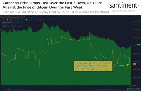 Cardano Whales Start 2023 With Accumulation Trend That Could Be Bullish For ADA | Crypto Breaking News