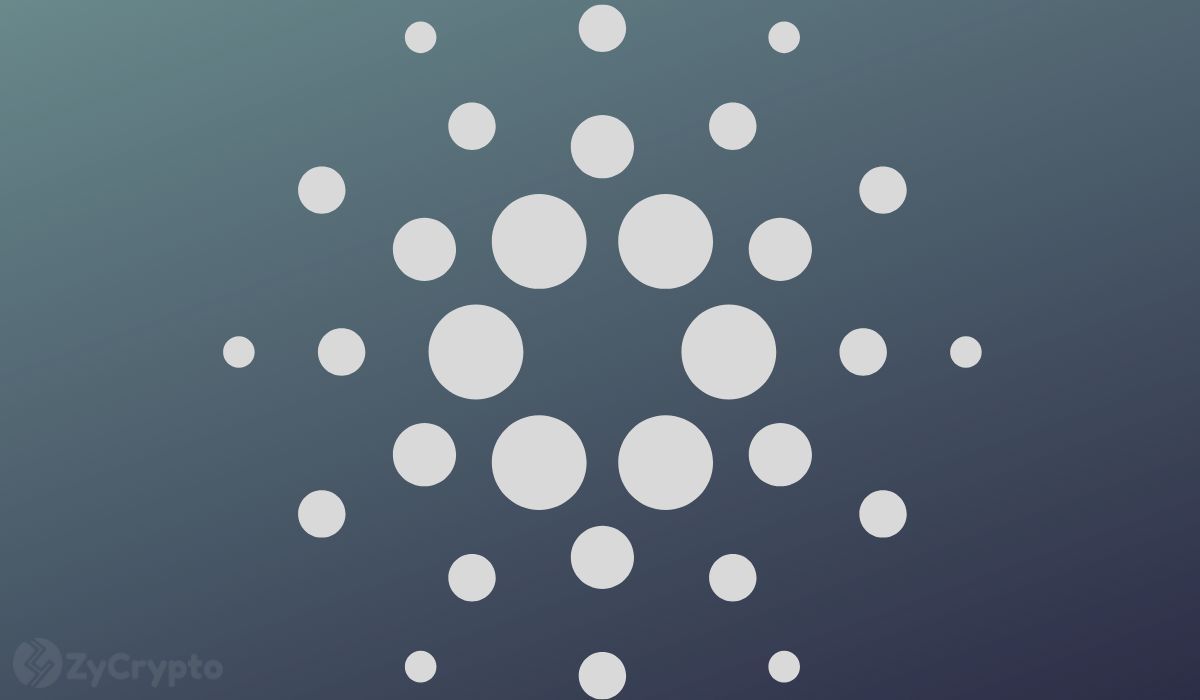 Cardano Whales Re-Emerge as On-Chain Transactions Hit 6-Month High — $1 ADA Price Incoming?