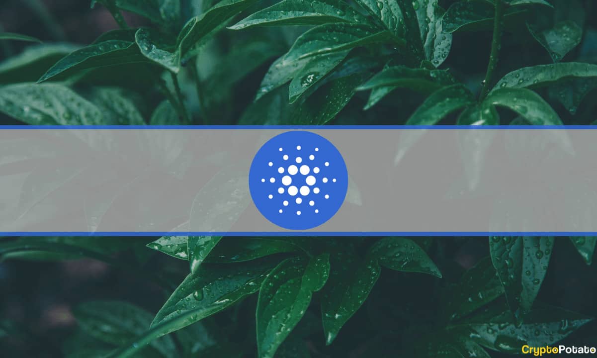 Le volume des transactions de Cardano a augmenté de 1 700 % depuis janvier, même si le marché stagne : données - La Crypto Monnaie