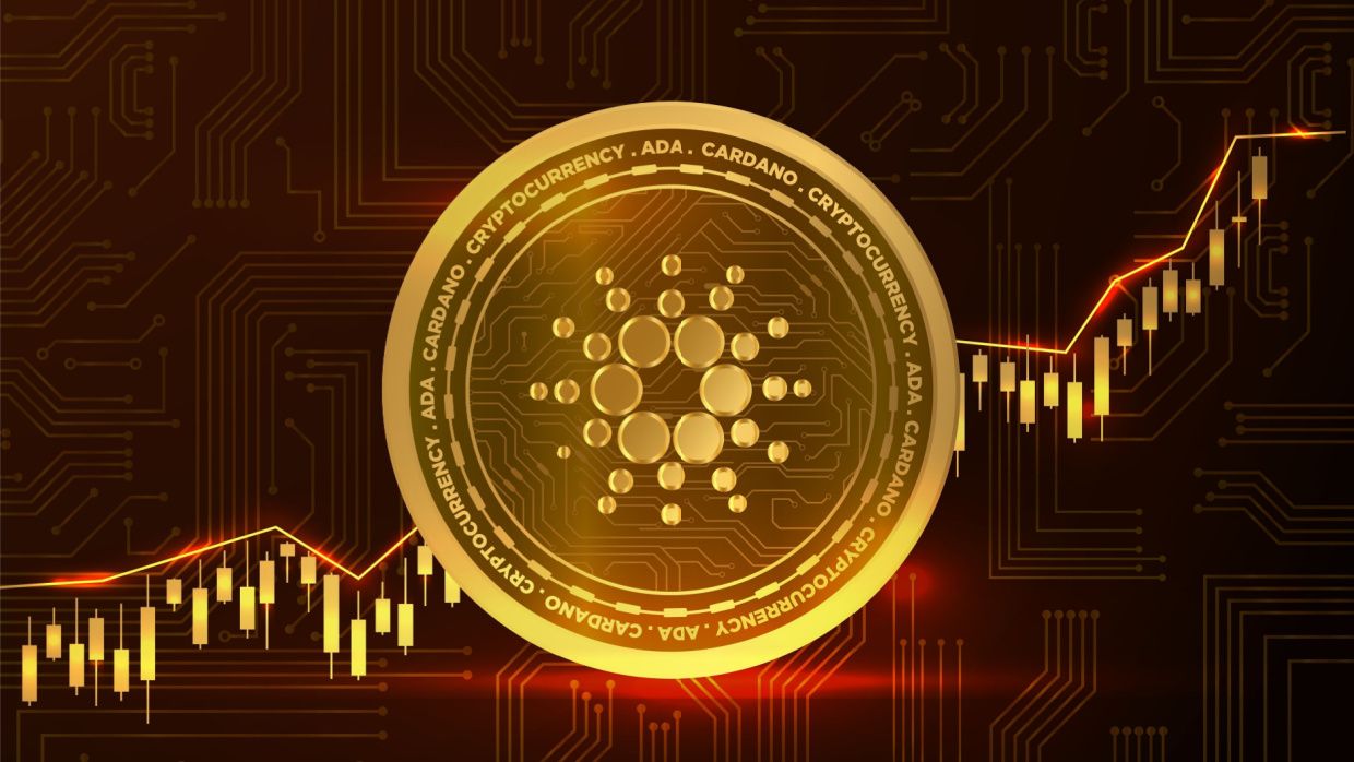 28 % de hausse ou 23 % de baisse ? - La Crypto Monnaie