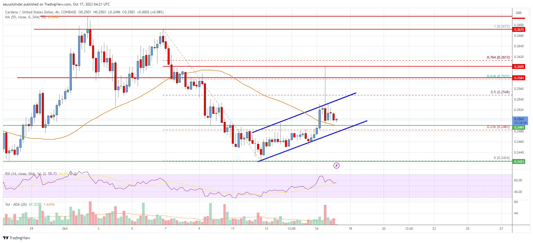 Cardano (ADA) Price Analysis: This Support Might Trigger Bullish Wave | Live Bitcoin News