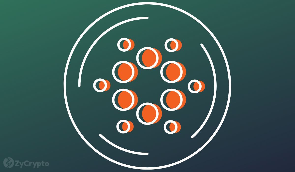 Can Cardano Whales Stop ADA Price From Crashing Hard After Dumping 1 Billion ADA In A Week?