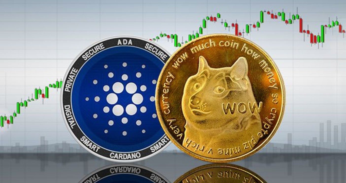 Binance announces Cardano (ADA), Dogecoin (DOGE) and another altcoin - ELEVENEWS