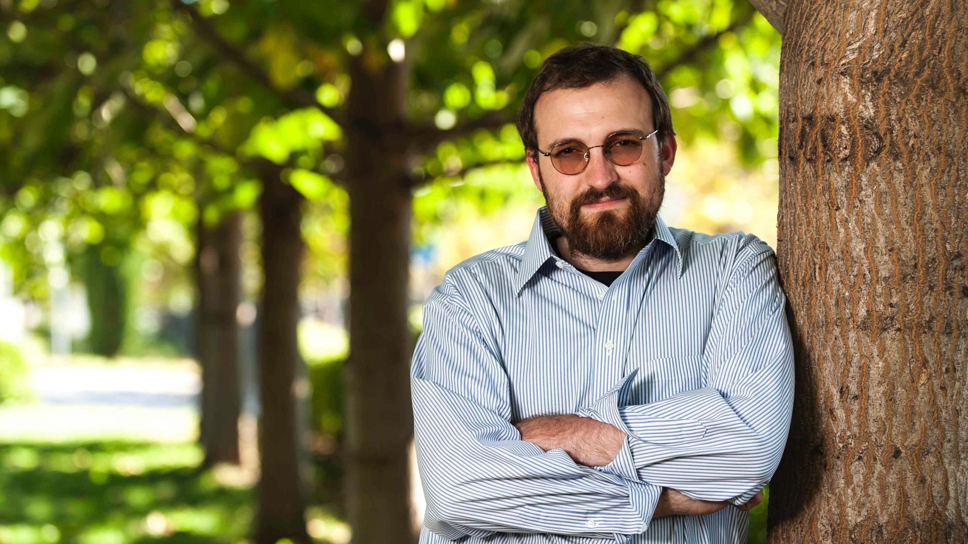 Fundador da Cardano é criticado por 'roubar' NFT