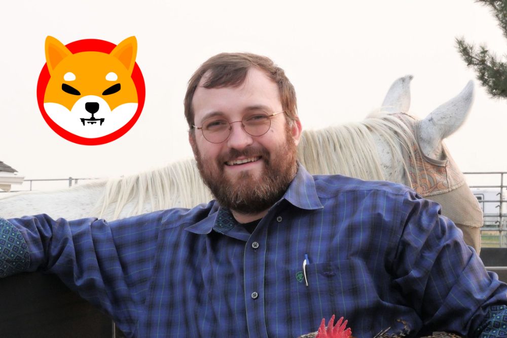 Shiba Inu Lead Developer Appreciates Cardano Creator Hoskinson On Shibarium Launch - Times Tabloid