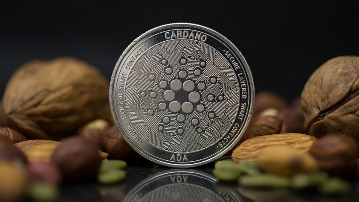 DEX na Cardano (ADA) vê um crescimento explosivo na atividade DeFi - Bolha Crypto
