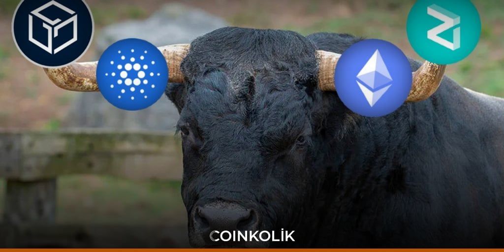 Kripto Paralar Yükseliyor, Altcoin Rallisi Başladı mı?