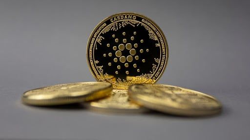 Krypto-Analyst Nicholas Merten schlägt Alarm bei Cardano (ADA) und Ripple ($XRP); Aufwärtstrend von InQubeta ($QUBE) lockt Großinvestoren - Coincierge.de | Bitcoin-Blog
