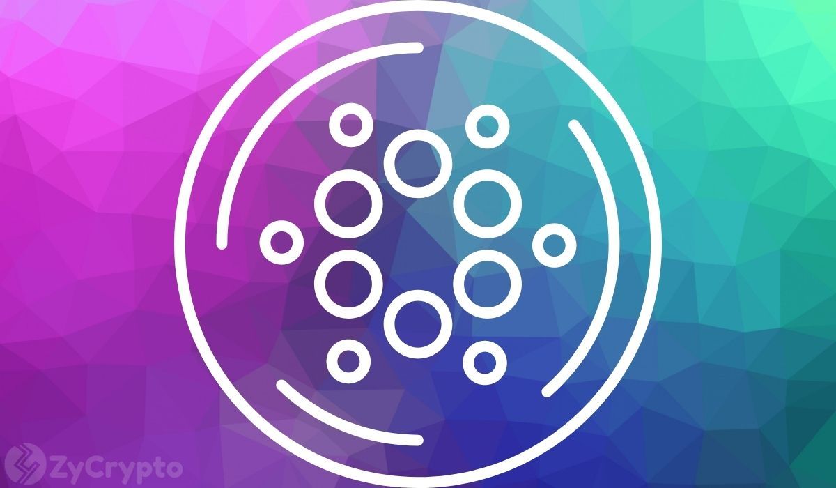 'Cardano Is Here To Stay,' Says Creator Charles Hoskinson As ADA Continues To Unravel