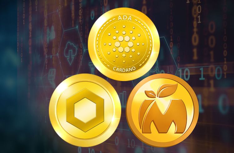 Os analistas escolhem Cardano (ADA), Chainlink (LINK) e um recém-chegado como futuros líderes de mercado