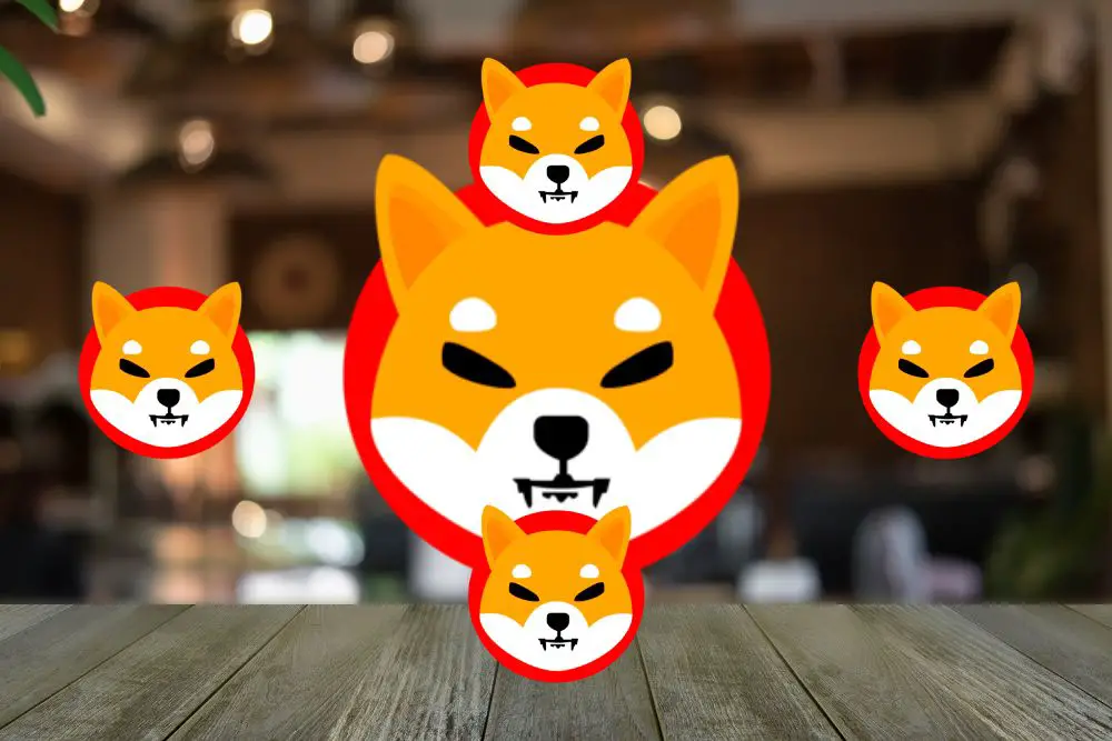 Interest In Shiba Inu (SHIB) Surges in Canada and U.S., Beats Cardano (ADA) and Dogecoin (DOGE) - Times Tabloid