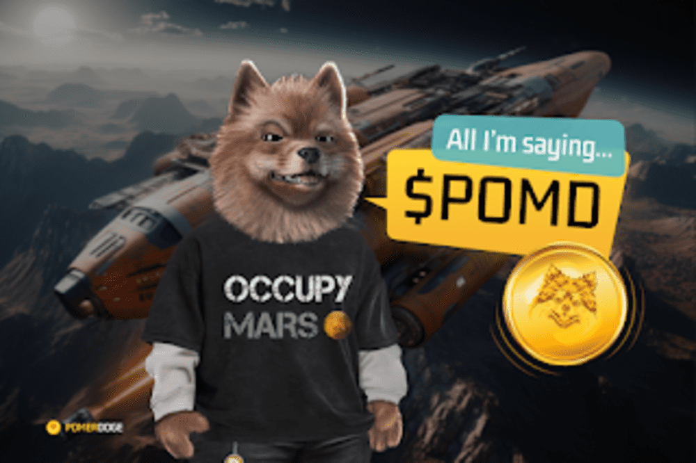 Dogecoin, Cardano e Pomerdoge: os tokens que estão tomando conta do mercado