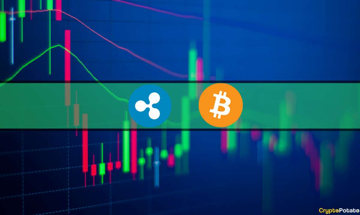Bitcoin (BTC) chute à son plus bas niveau sur 12 jours, Ripple (XRP) glisse en dessous de 0,5 $ (surveillance du marché) - La Crypto Monnaie