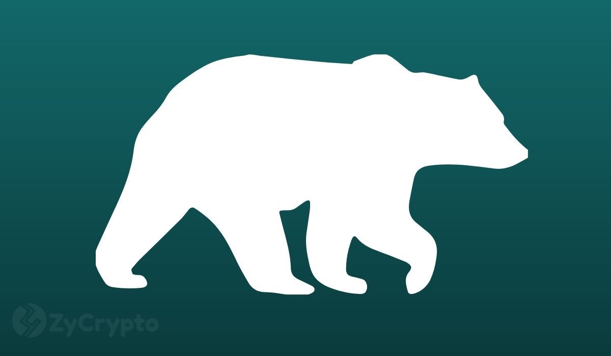 Bitcoin Looks To Retake $20,000 As Ether, XRP, Cardano Traders Bank On A Massive Bull Run