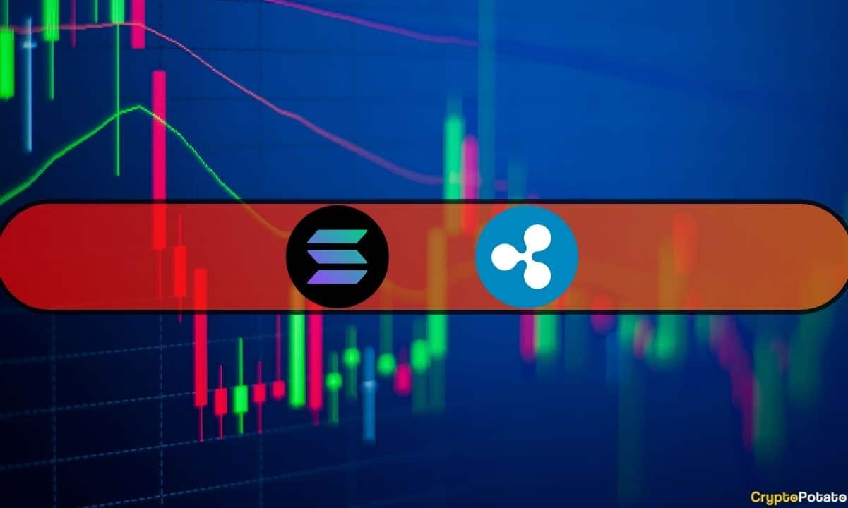 Solana (SOL) plonge de 8 % par semaine, Ripple (XRP) dérive en dessous de 0,5 $ : surveillance du marché - La Crypto Monnaie